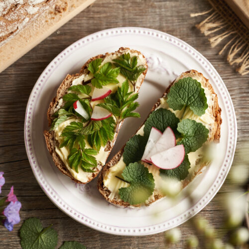 Spring wild edible plants - young garlic mustard and ground elder leaves, on sourdough bread, top view