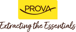 yellow logo